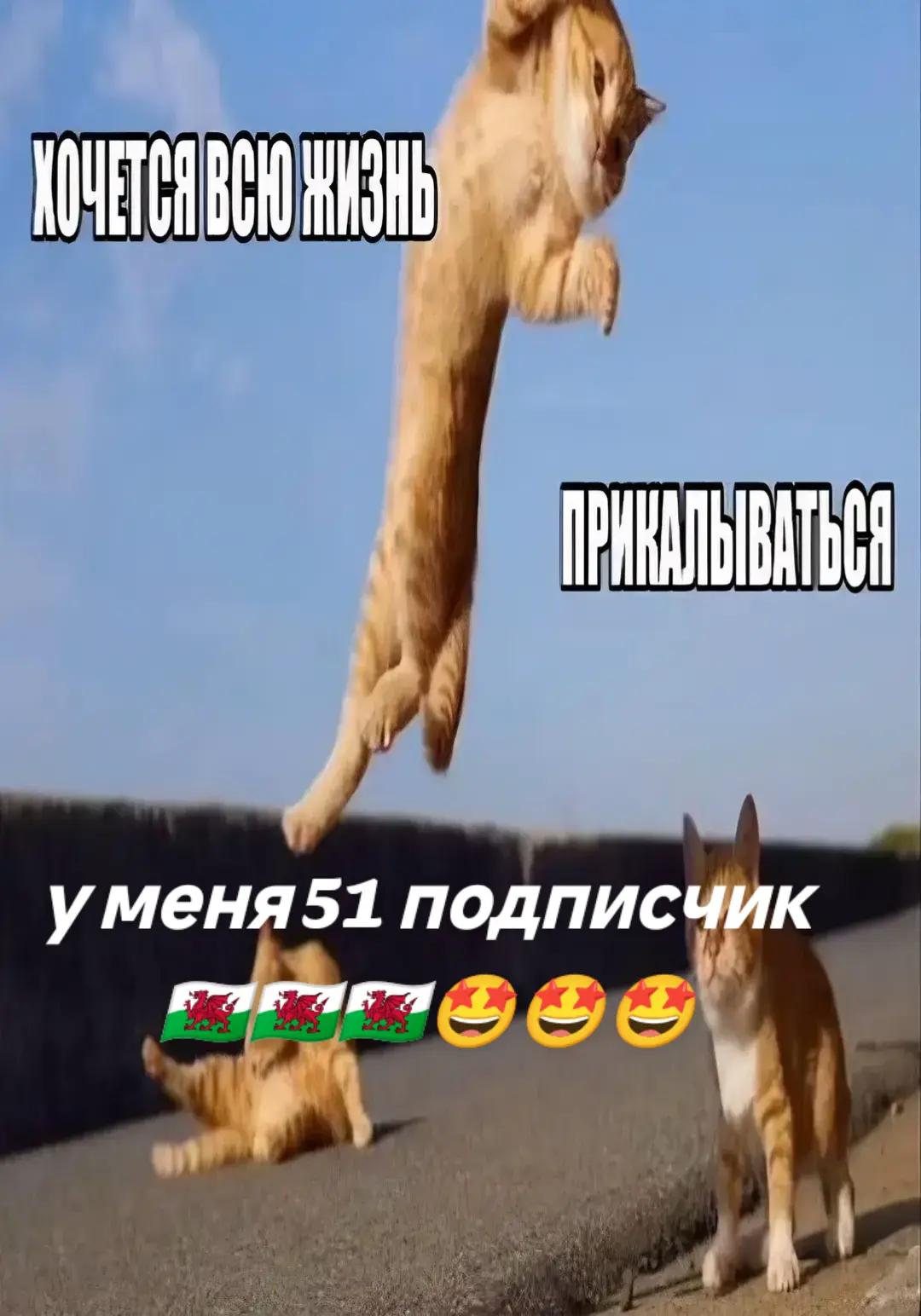 @неmeц//////сырнiiiiiк🏴☠️