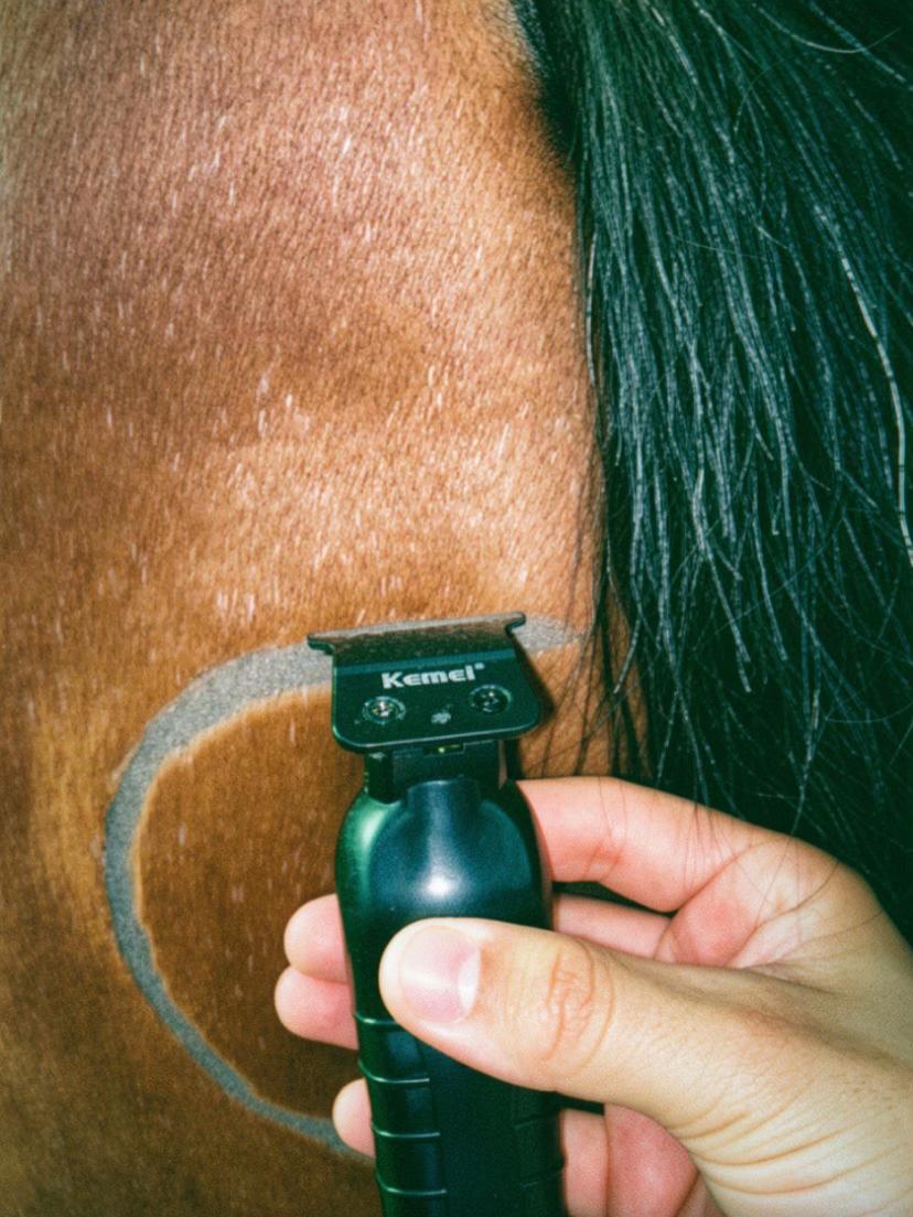 @💈🐴Huelgam_ty