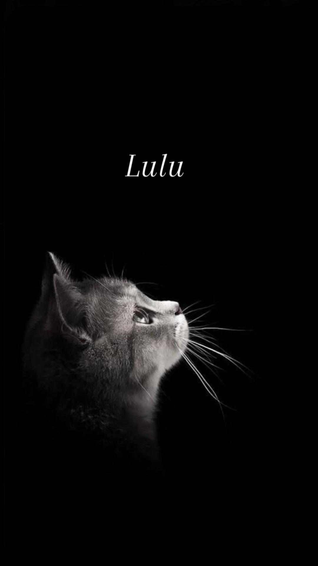 @Lulu ๐พ