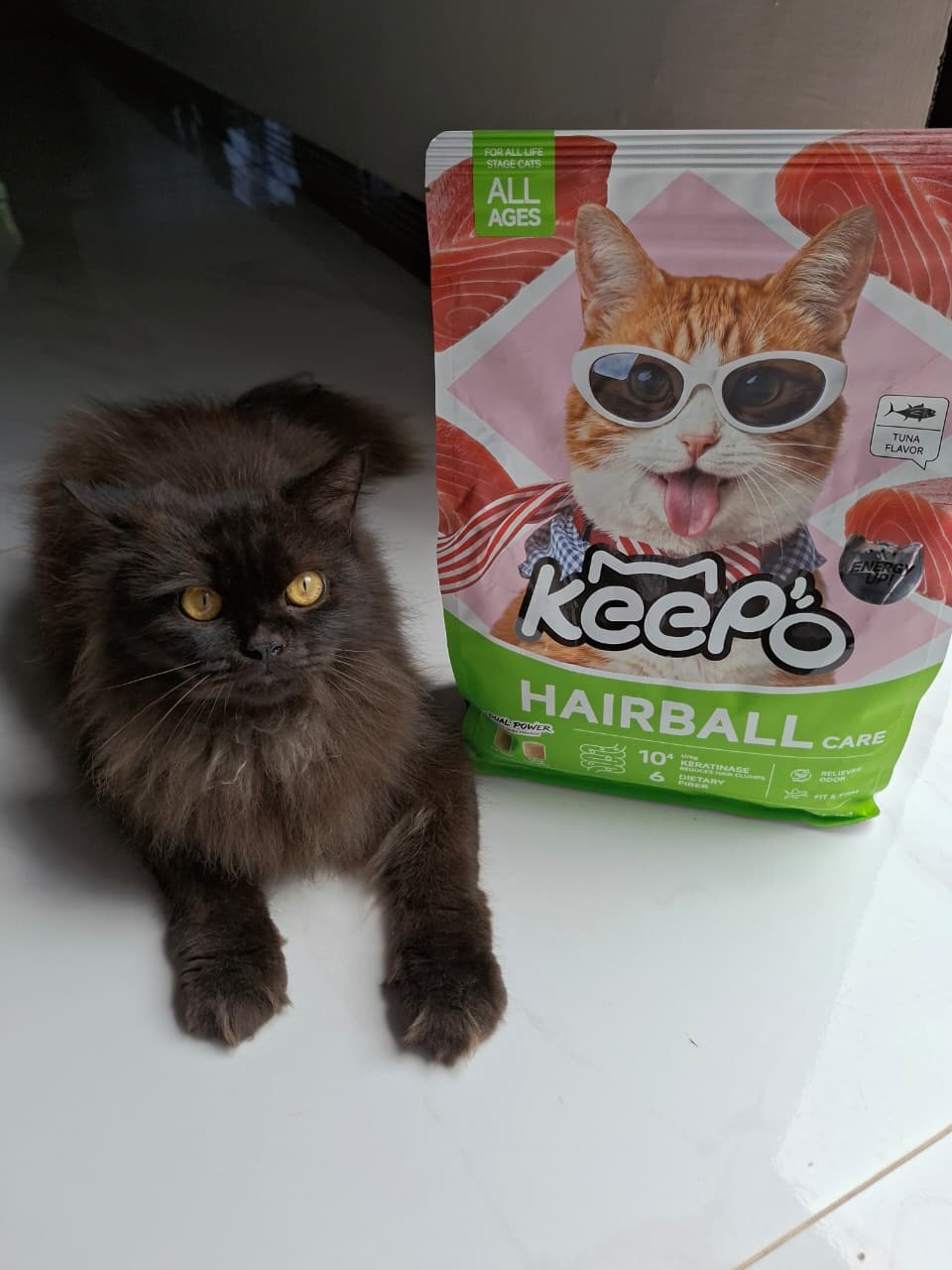 @Medayo Petcare