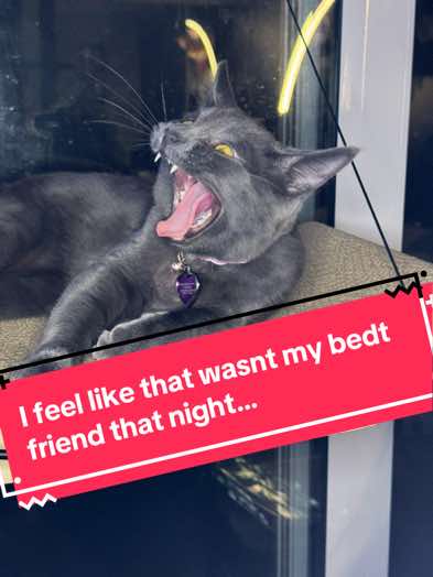 @The Bark Booth
