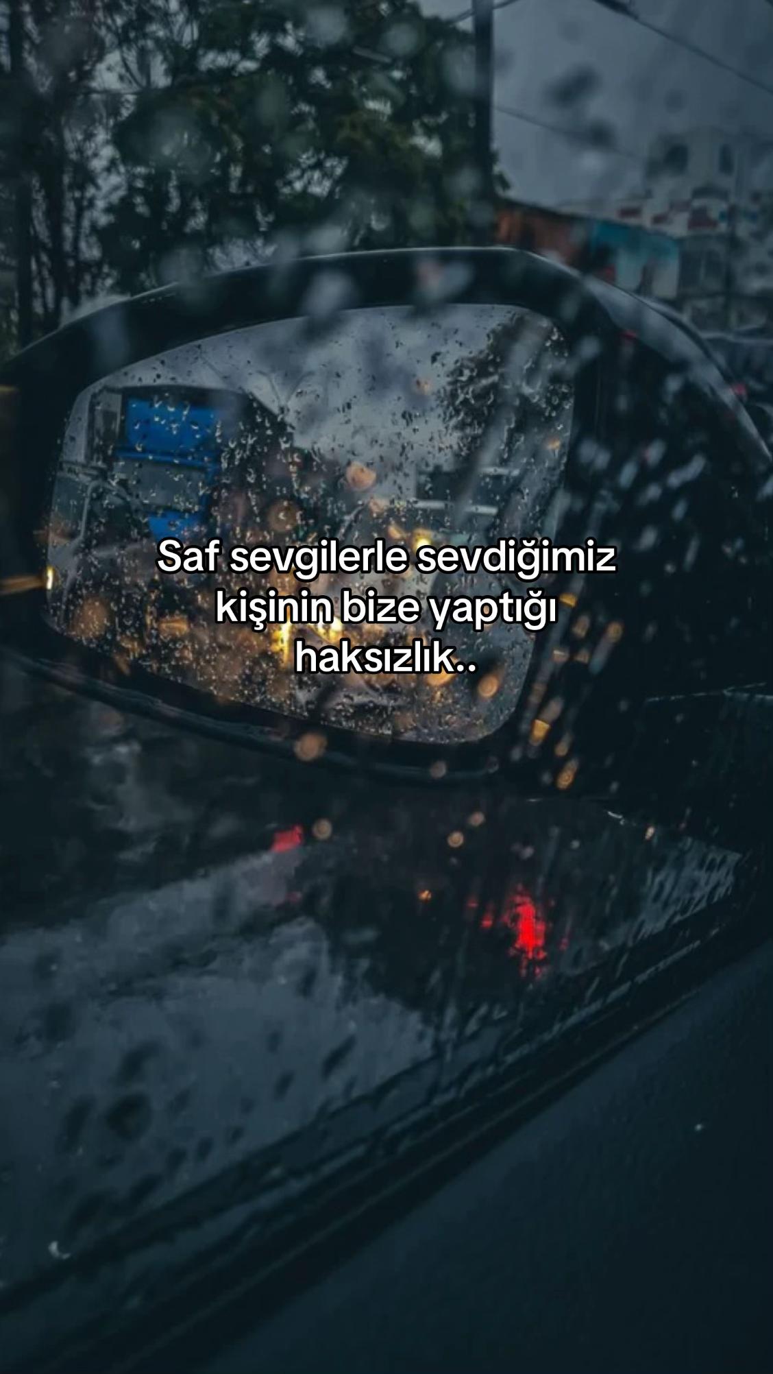 @seviyorgibiydin24