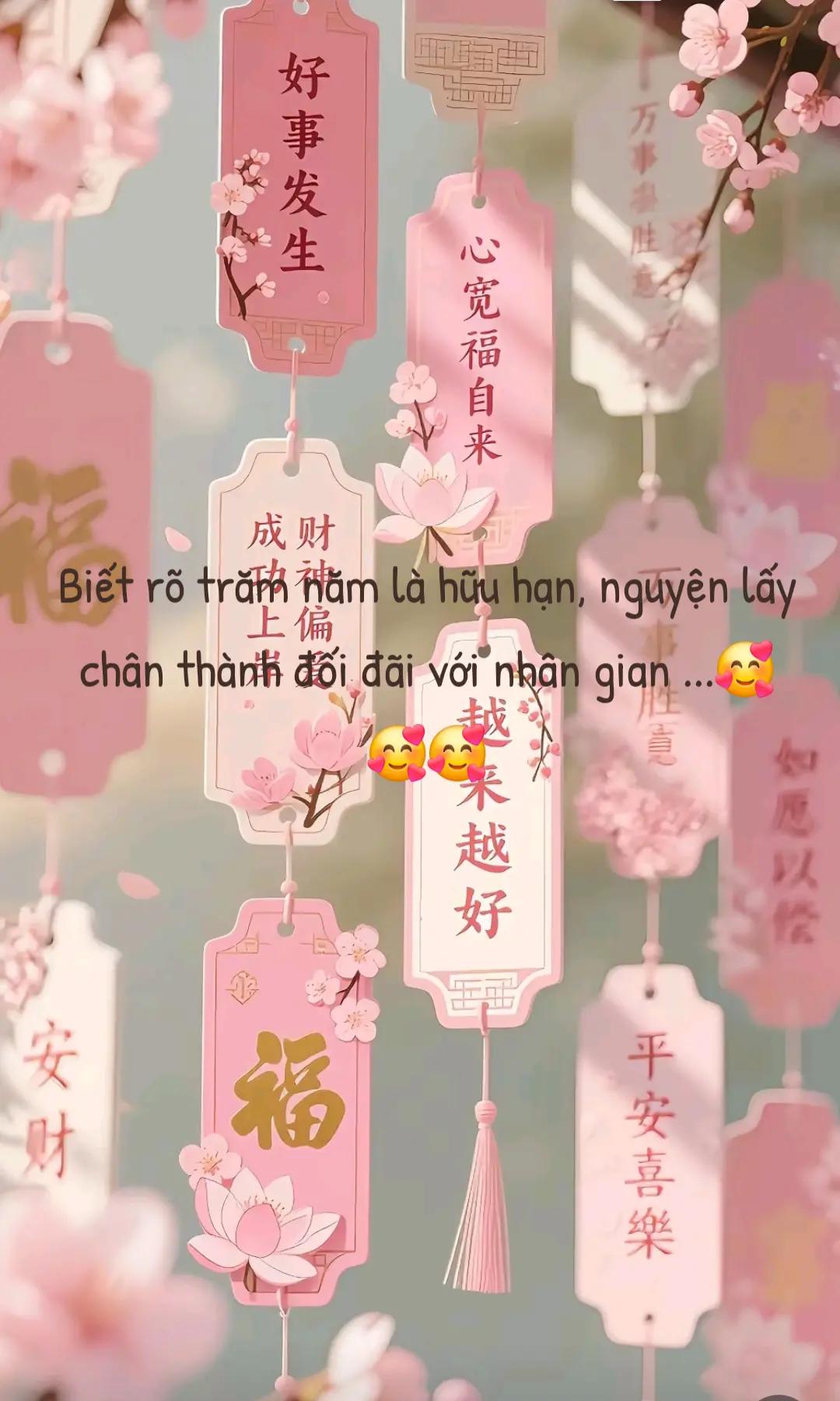 @N🌼