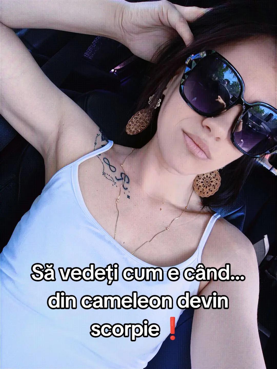 @Lolla_SRL