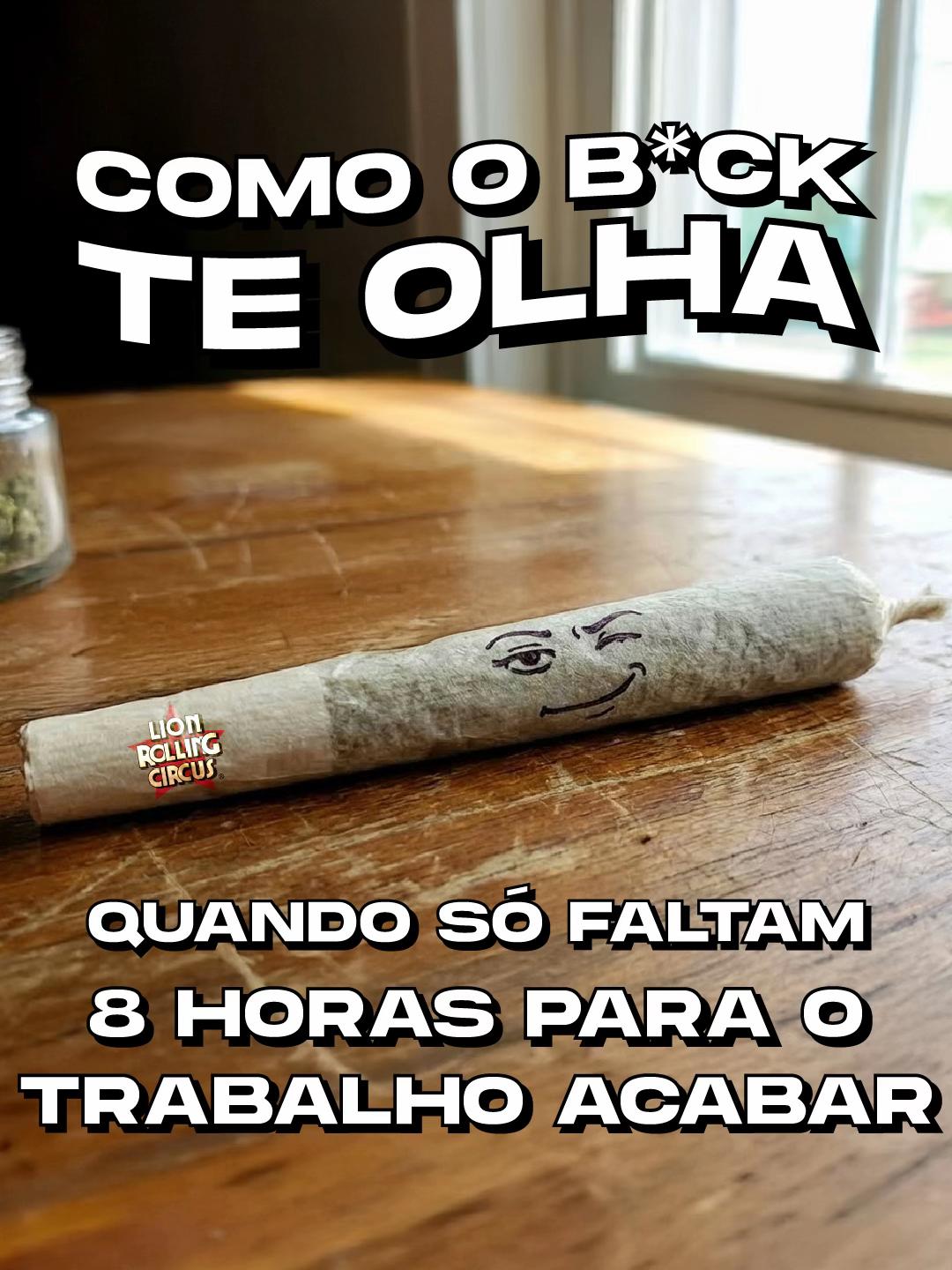 @LION ROLLING CIRCUS BRASIL