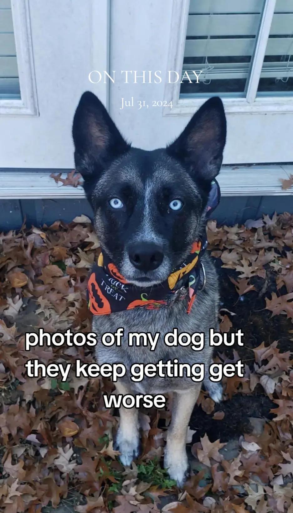 @🪓🐾🪓