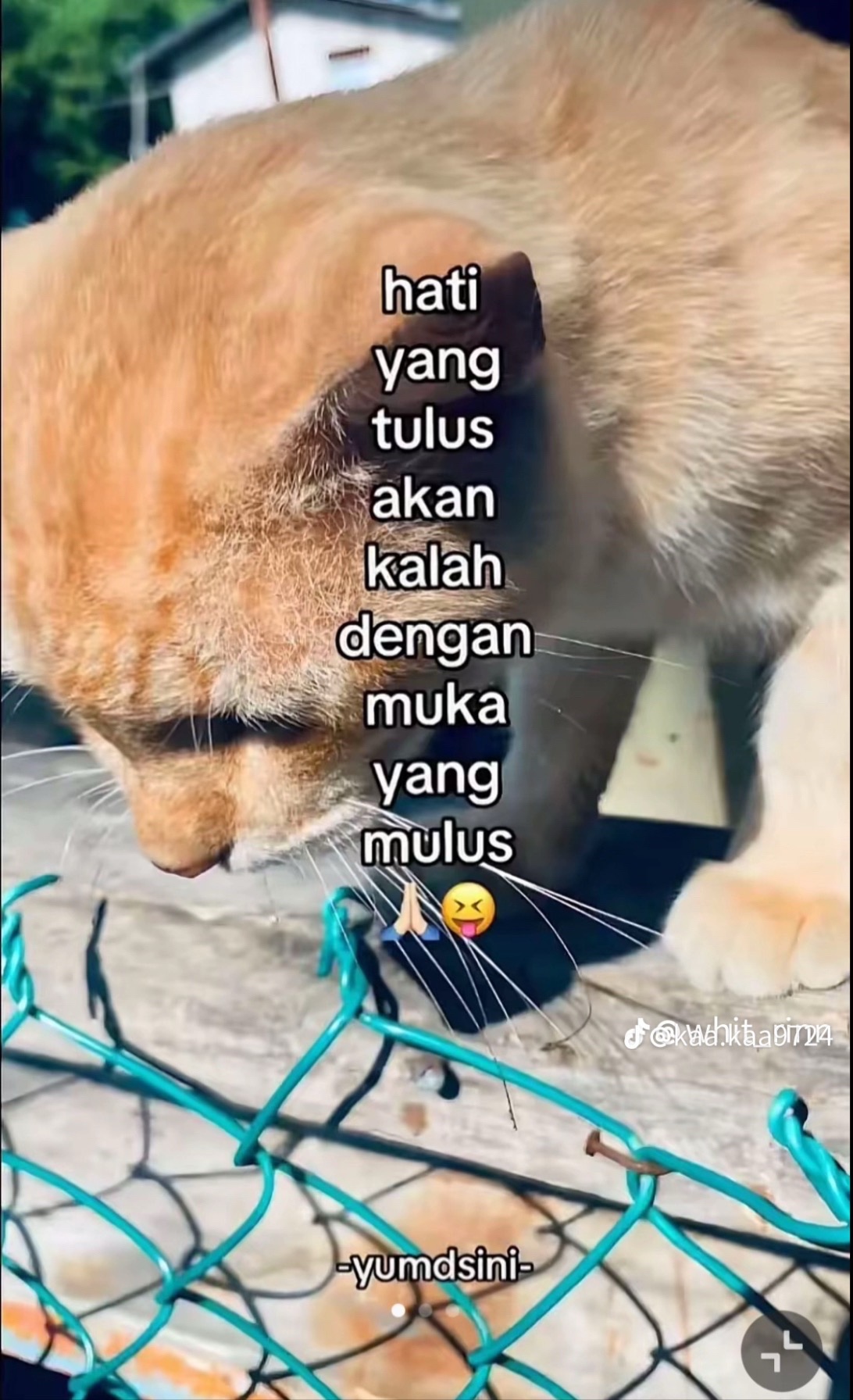 @Tri Wayan