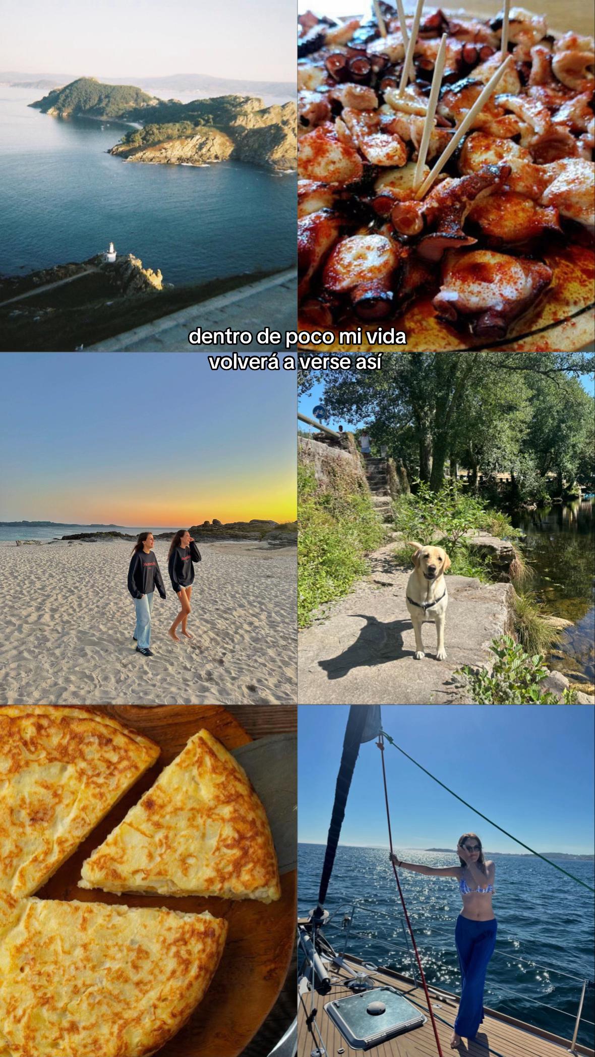 @lu sobral