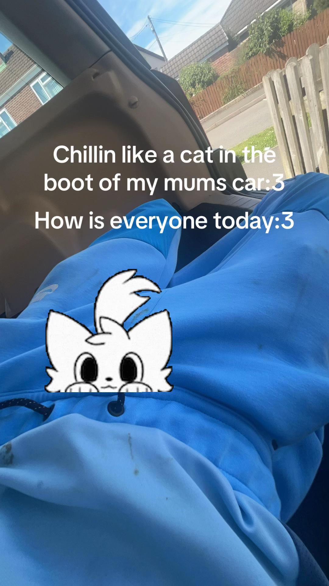 @femboy_kitten1