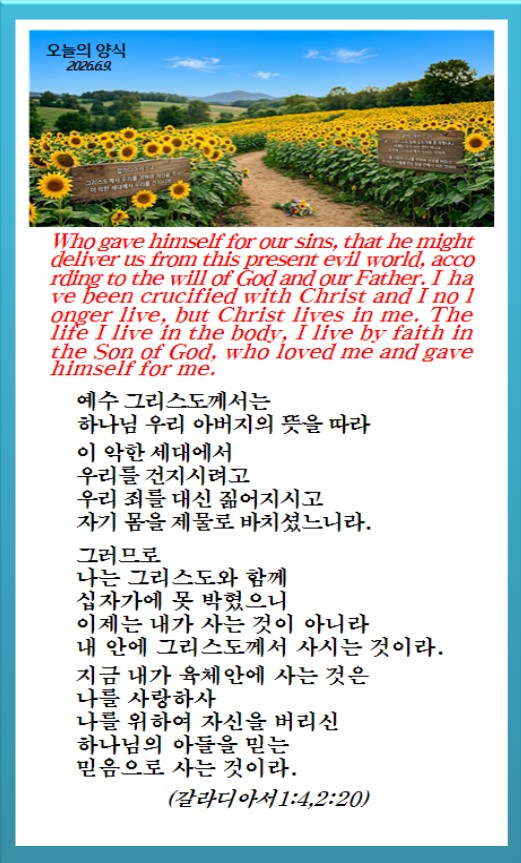 @피켓전도 김종일 목사