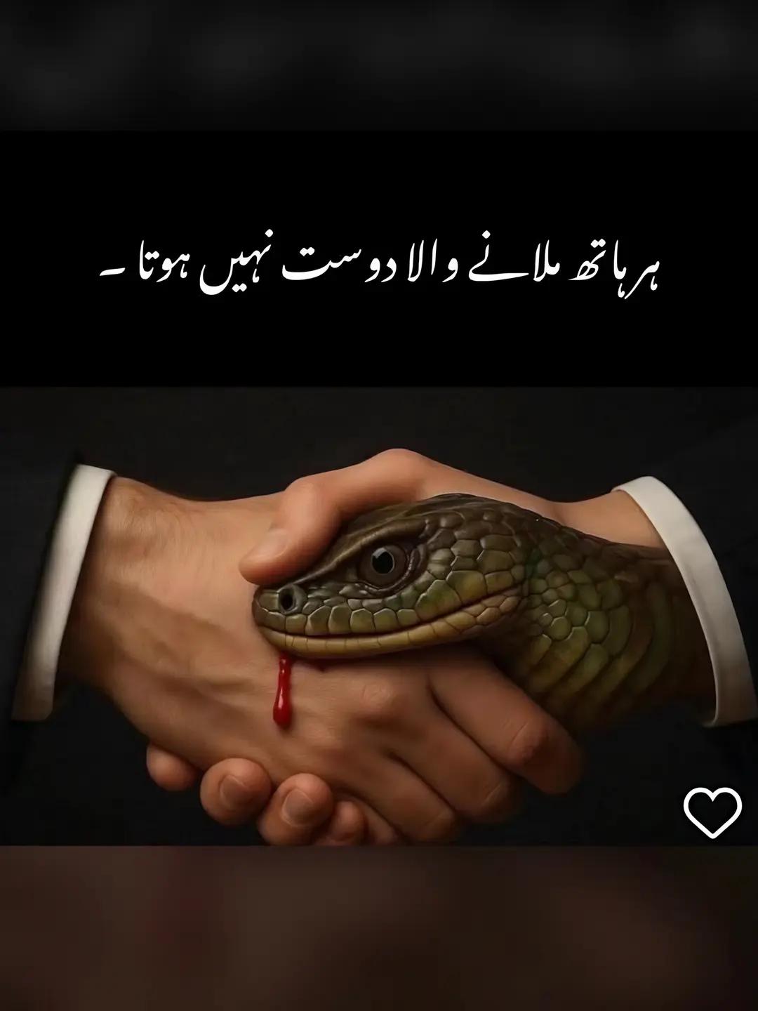 @🐊چوہان صاحب ڈیرےآلے🥷