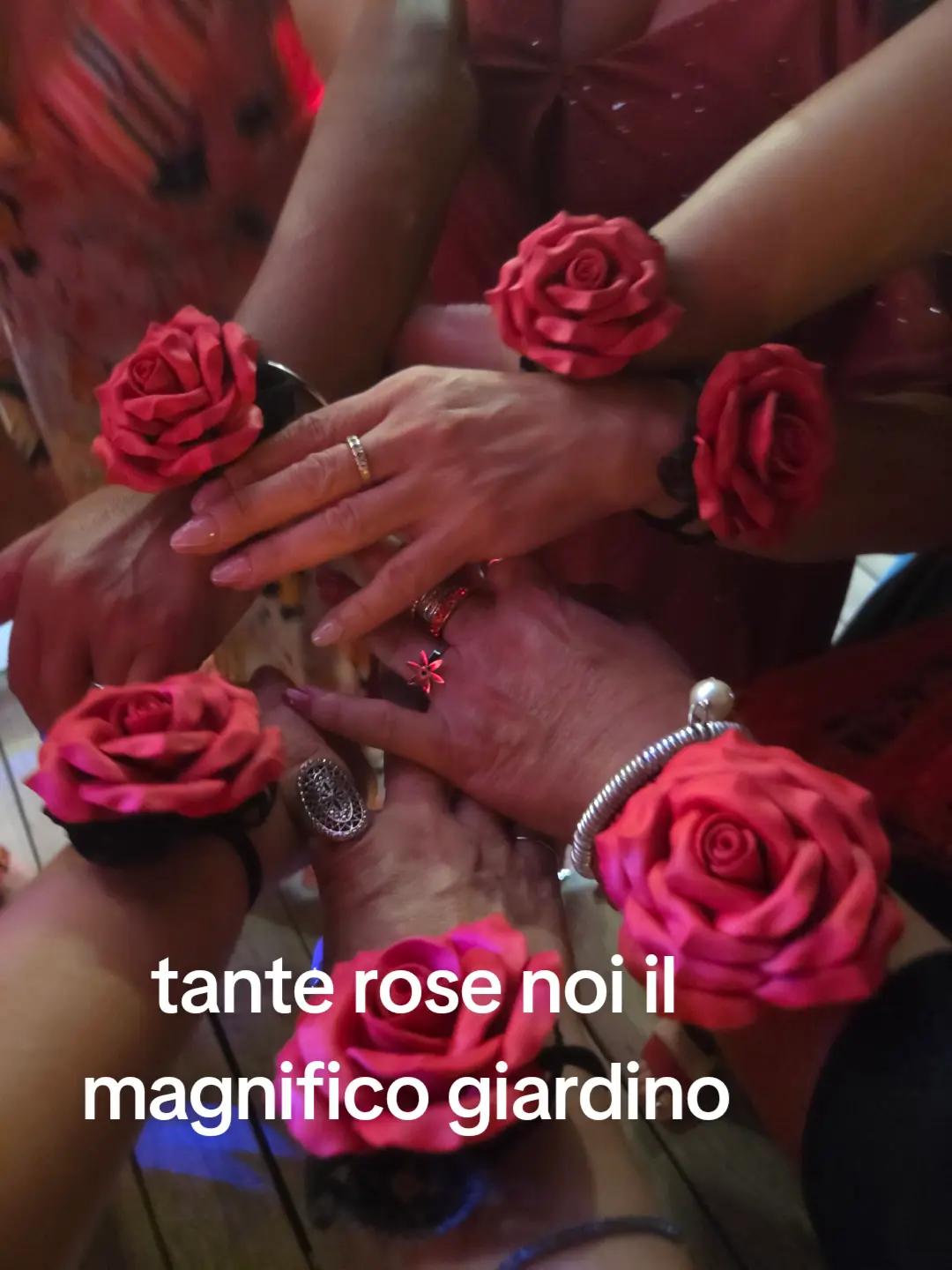 @annamigliaro458