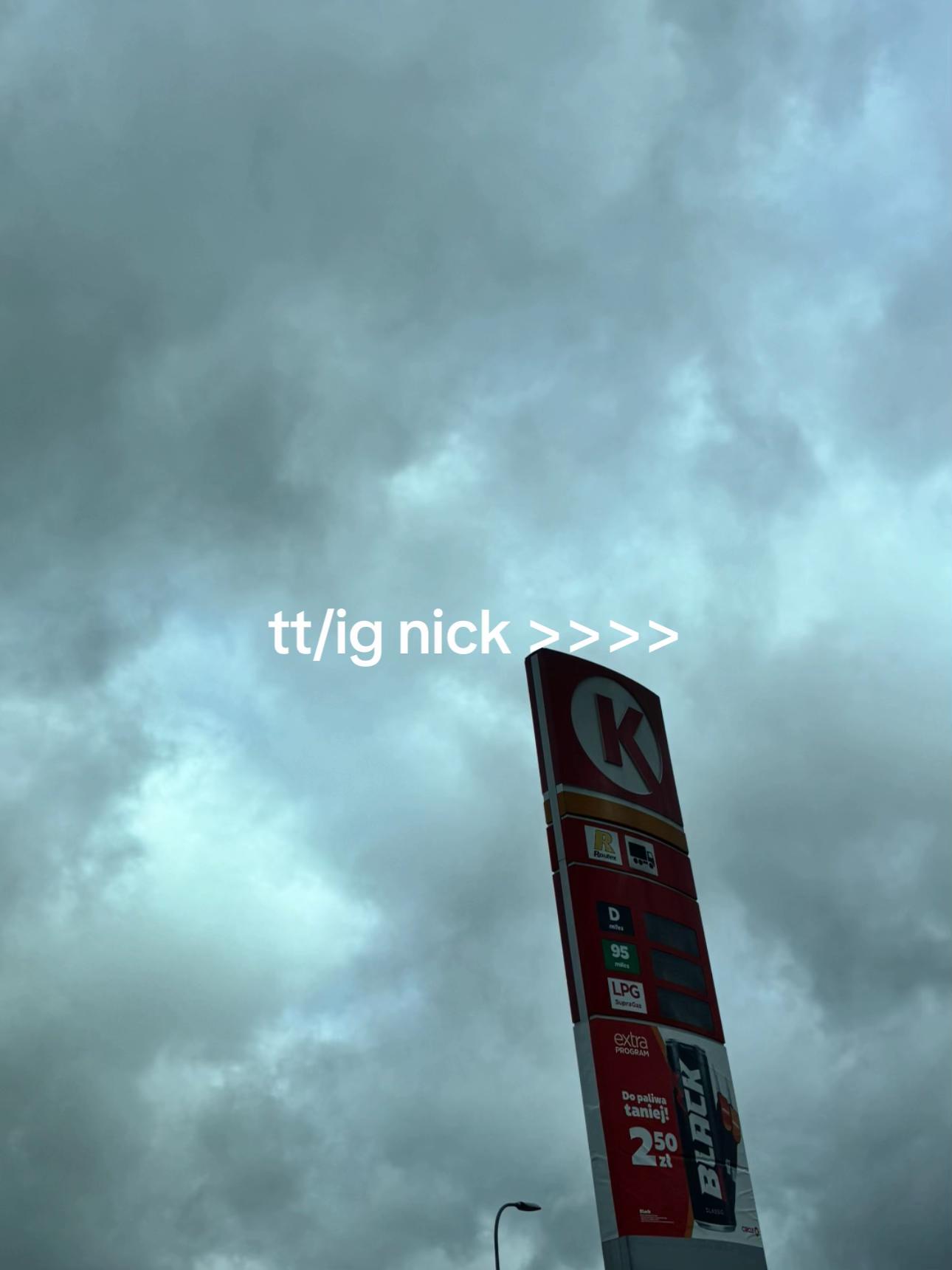 @nelxqs🐜