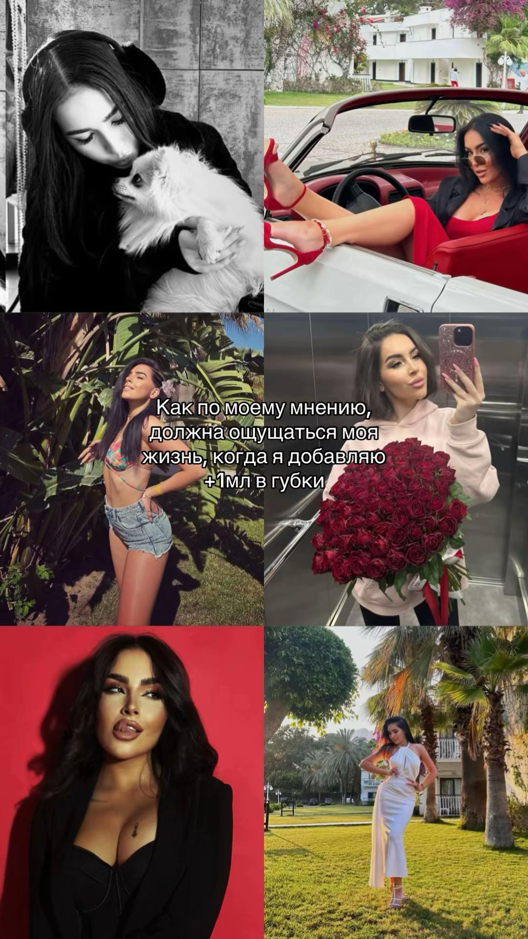 @софчикс
