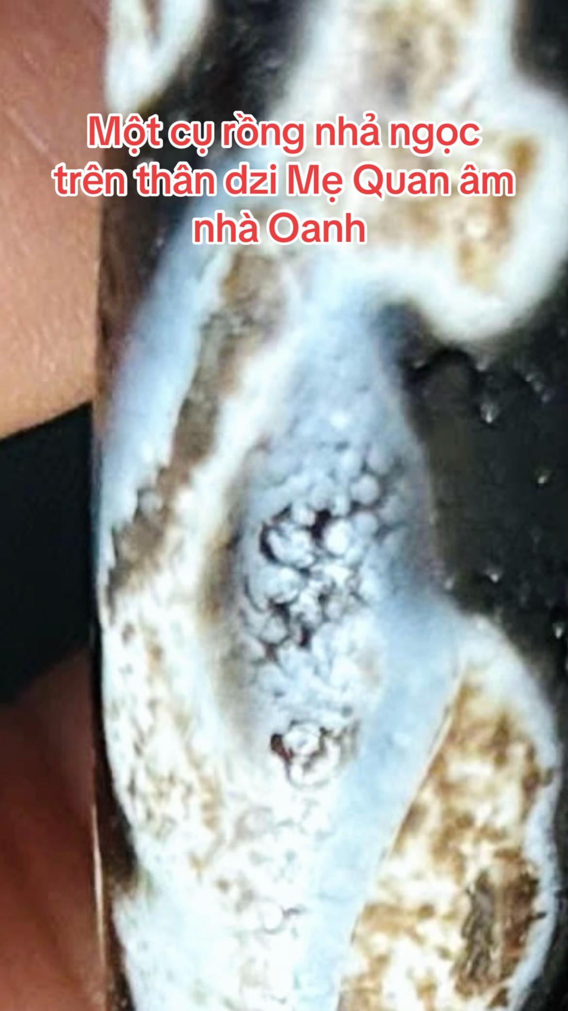 @Oanh