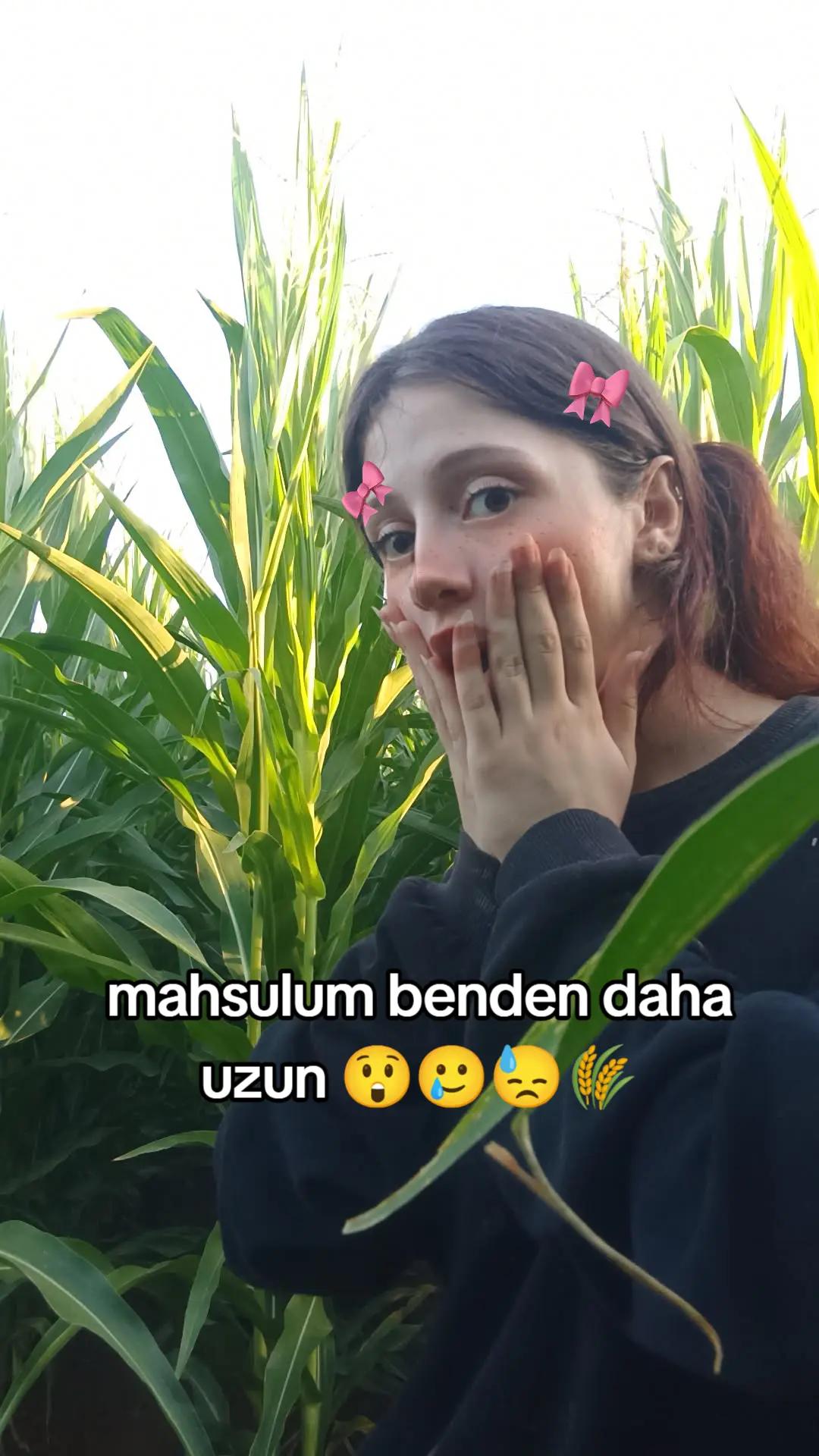 @sema.klnc