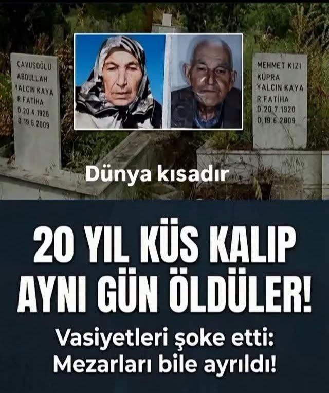 @Gülümse (✿◠‿◠✿)