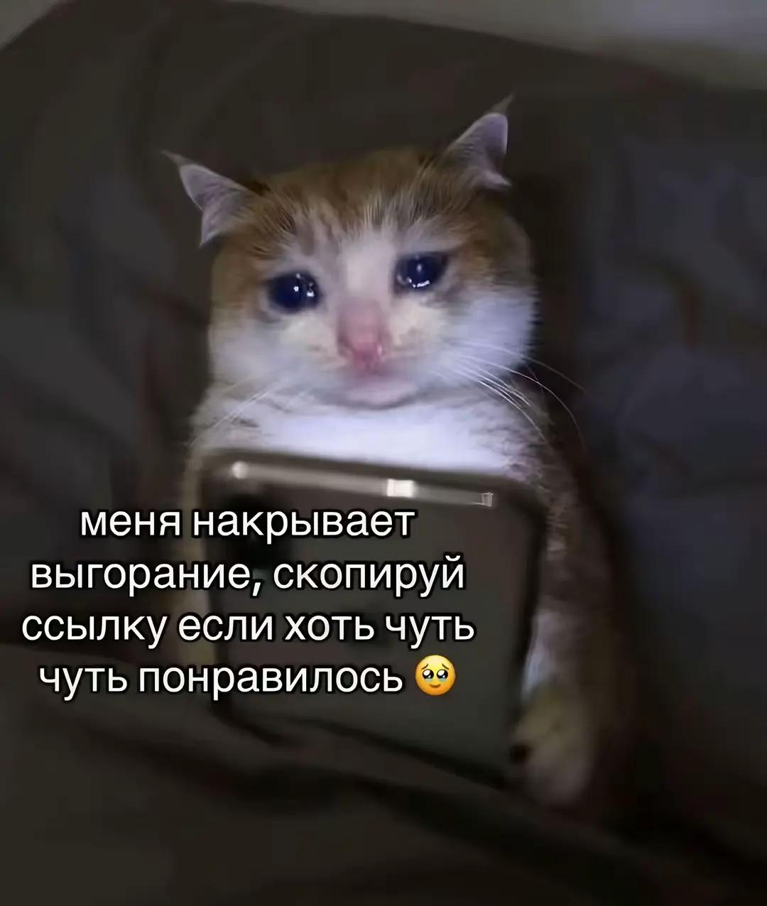 @тг: Чудесности свити ✨