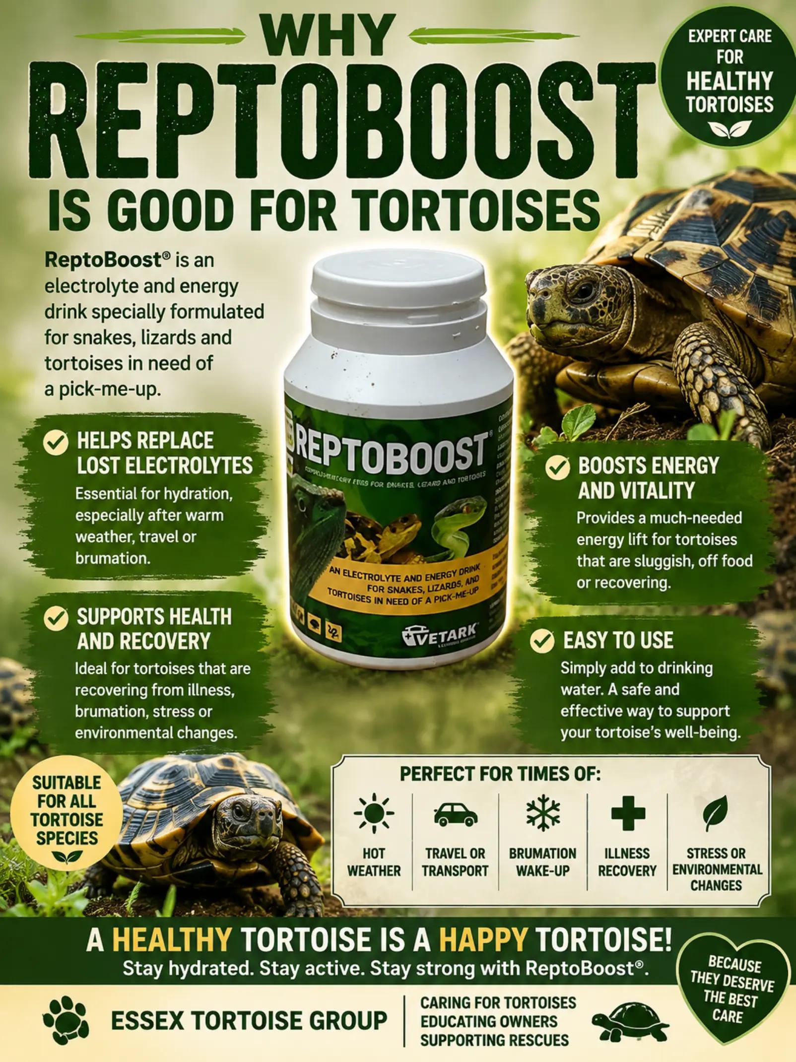 @essex tortoise group