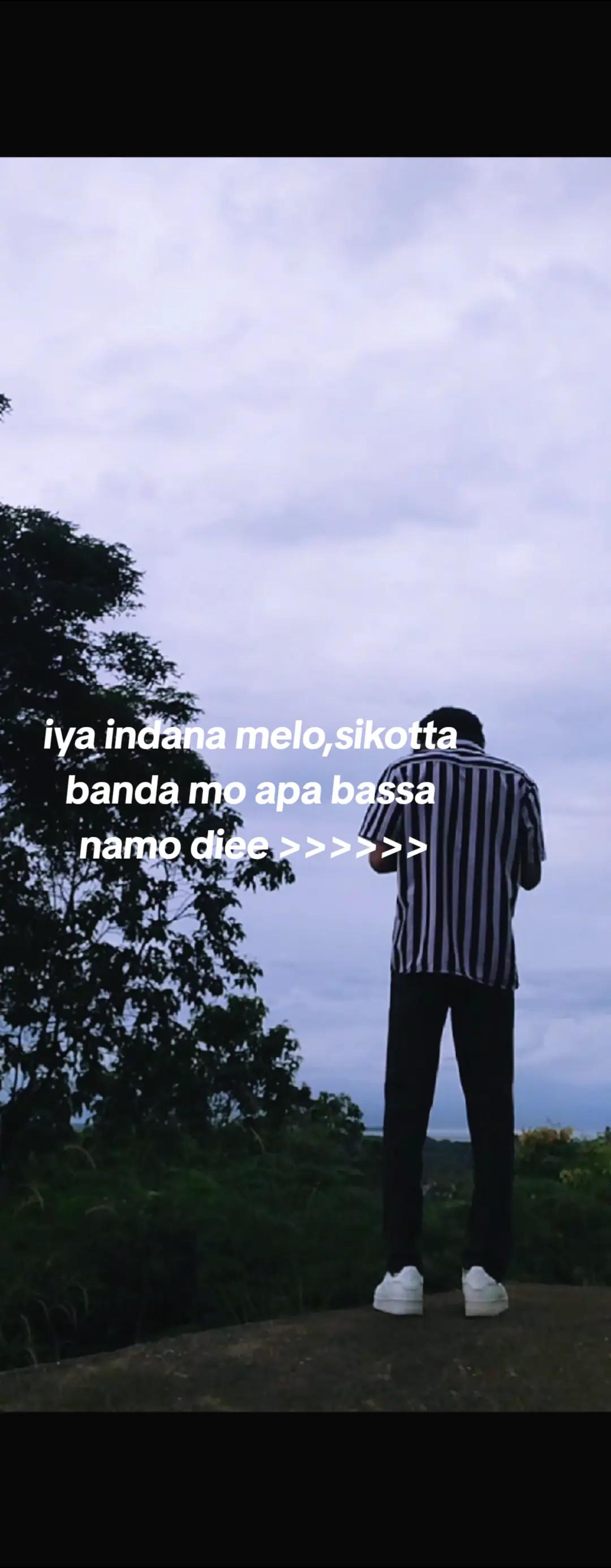 @DAN 💥