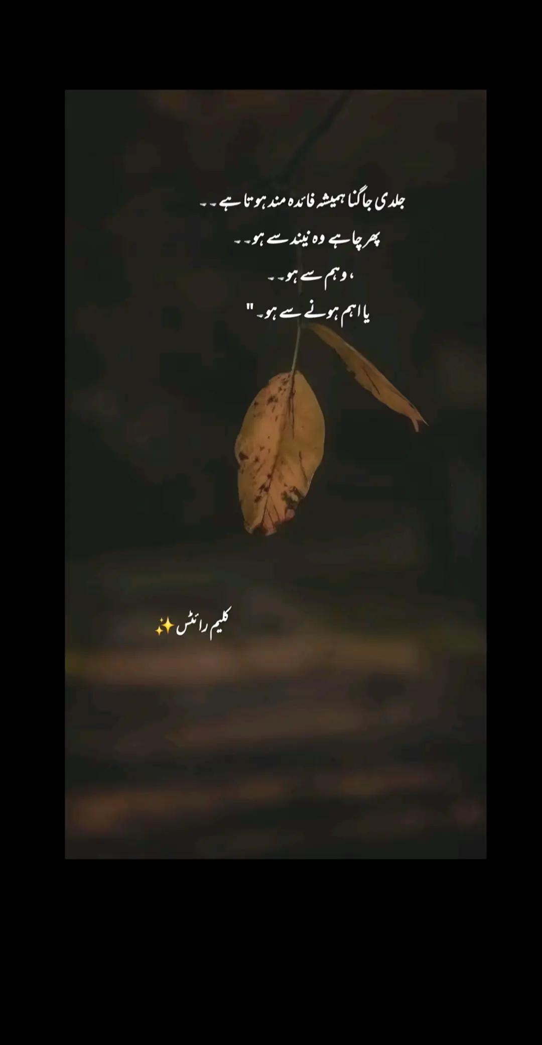 @muhamdHanzala
