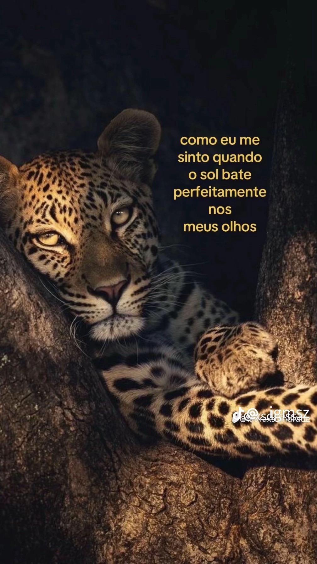 @Eduarda Ceia