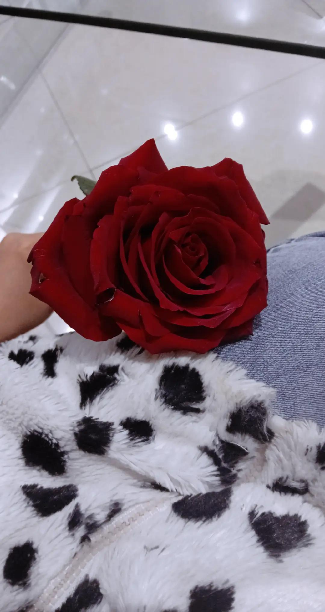 @11Nafise