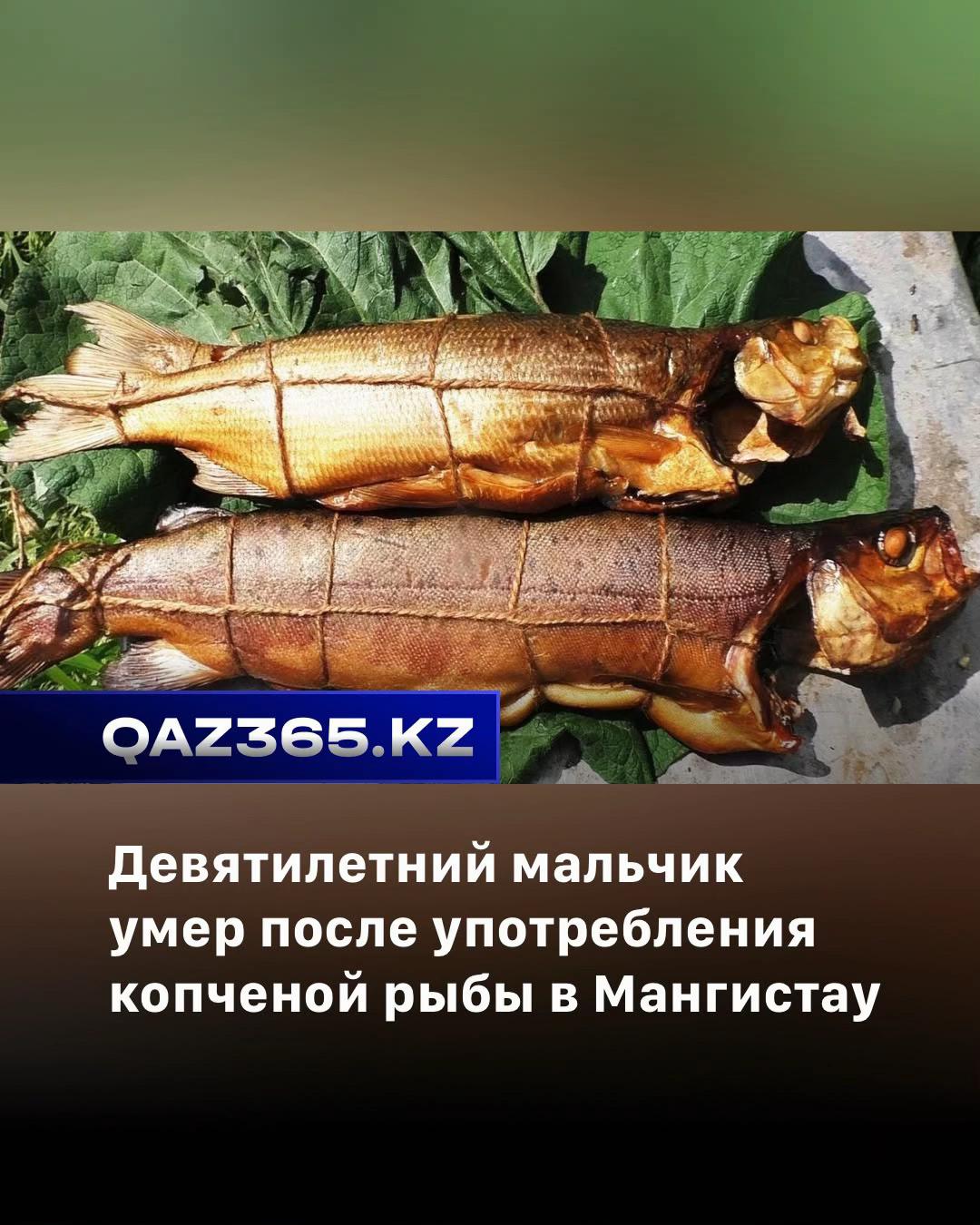 @Qaz365.kz | Новости Казахстана