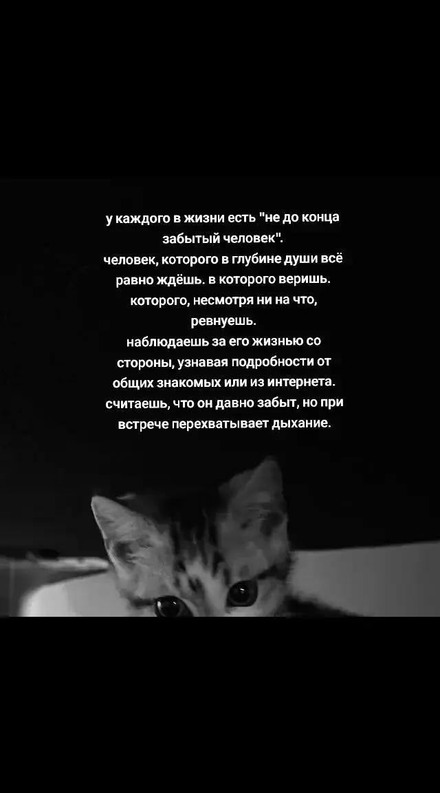@чел просто ушёл в себя