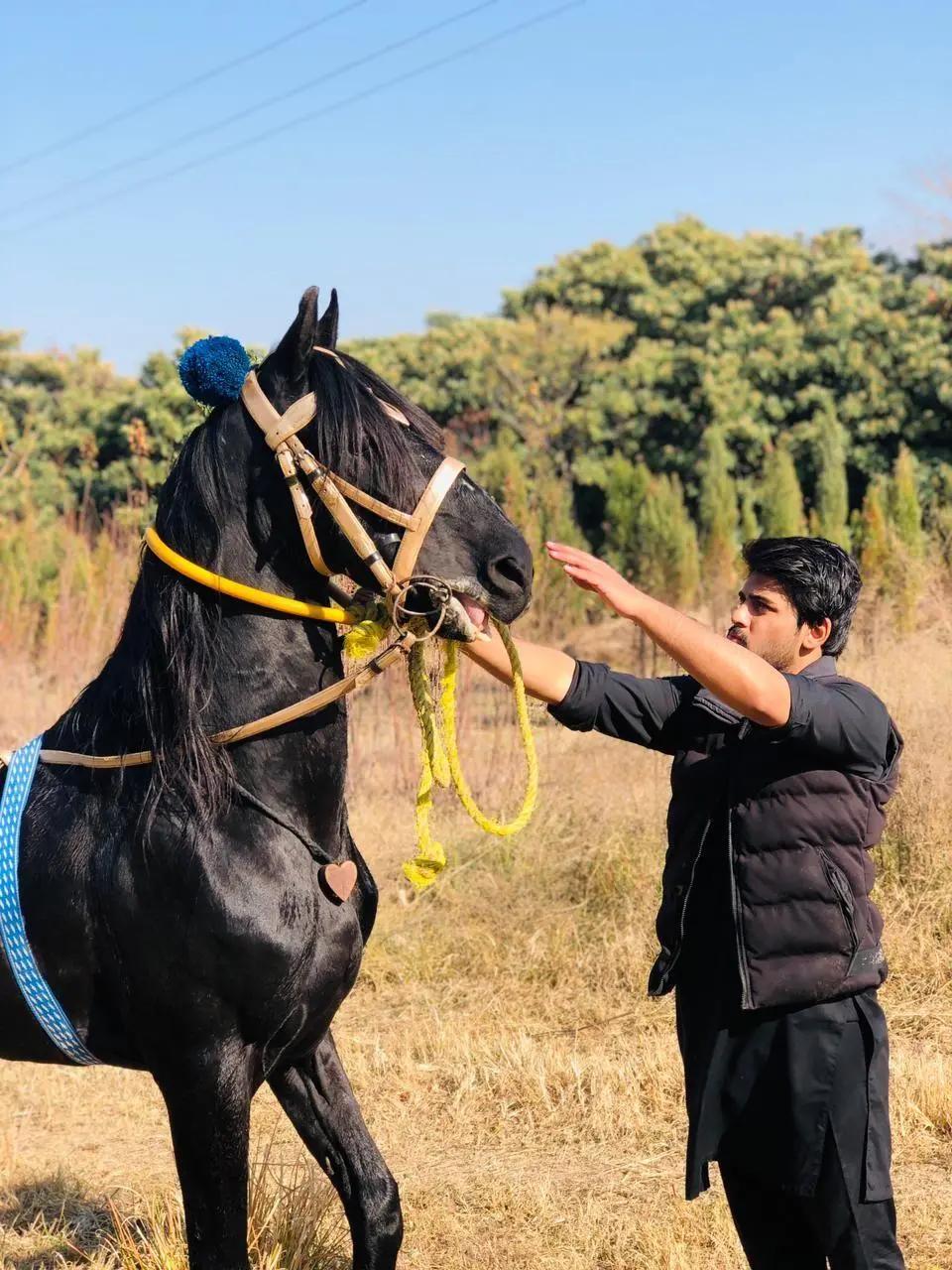@HassanKazmi