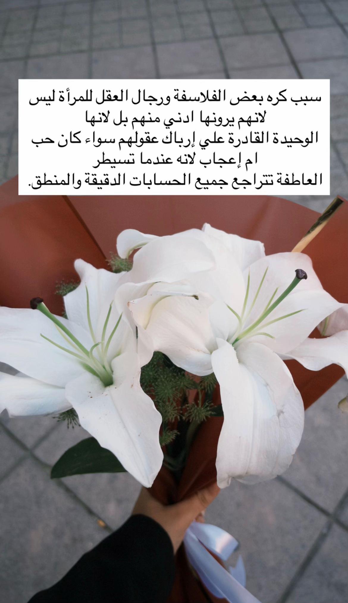 @Habiba Nassar