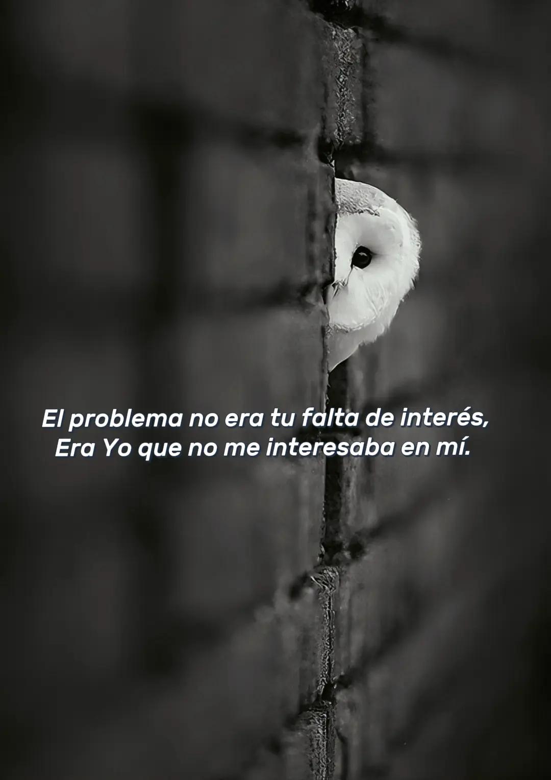 @◐⃢⃟꙰✧ 𝐅𝐑𝐀𝐒𝐄𝐒 ঔৣ◐⃢⃟꙰