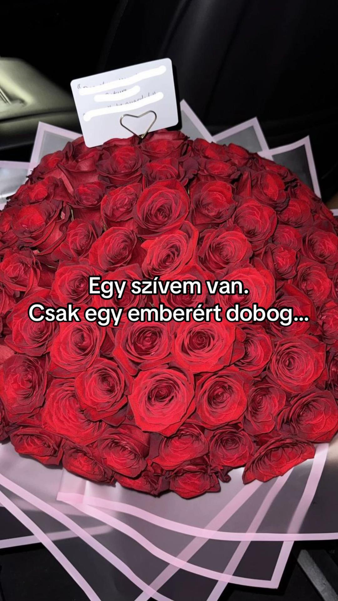 @𝓓𝓸𝓻𝓴𝓪