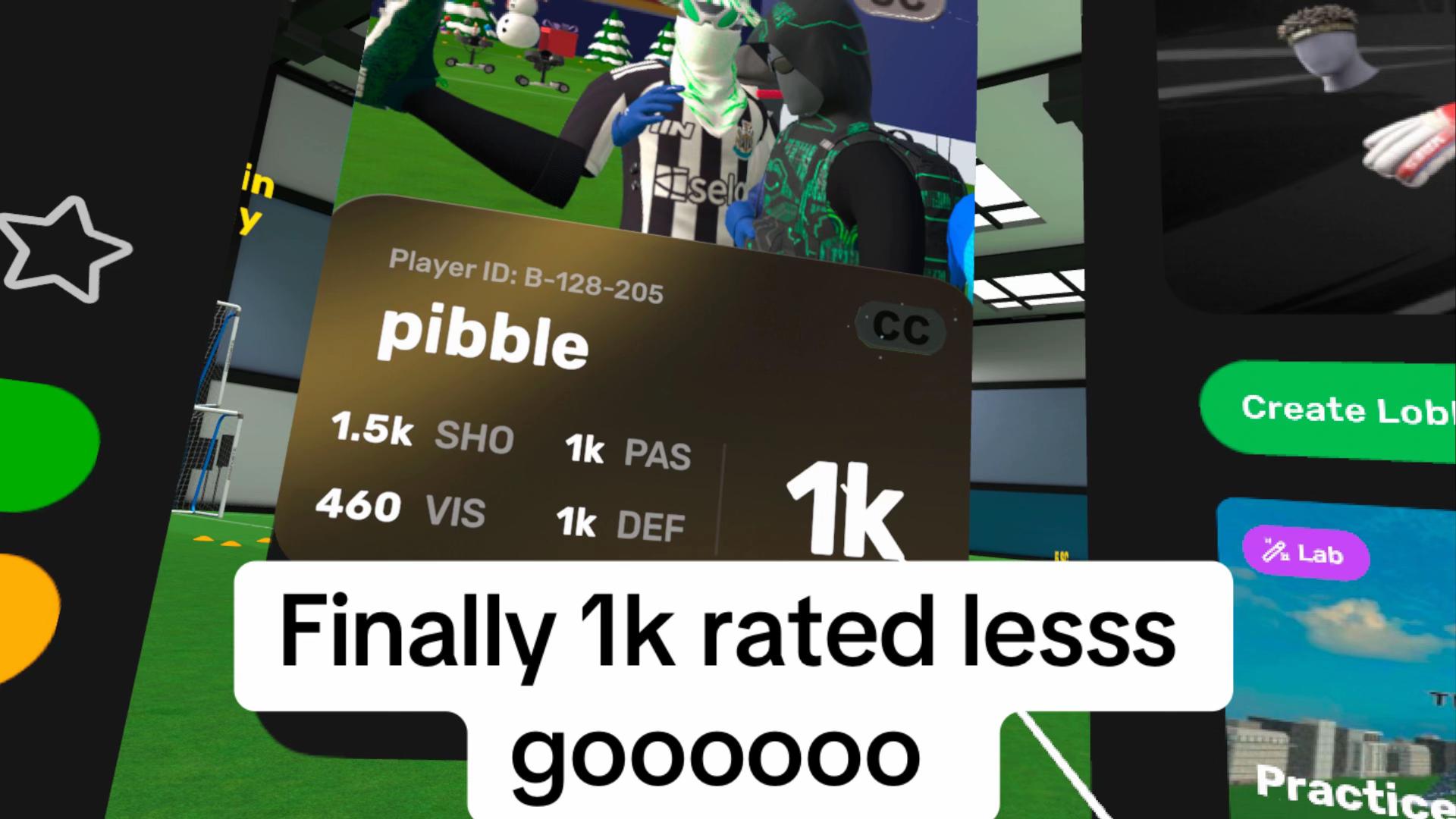 @pibblevrfs