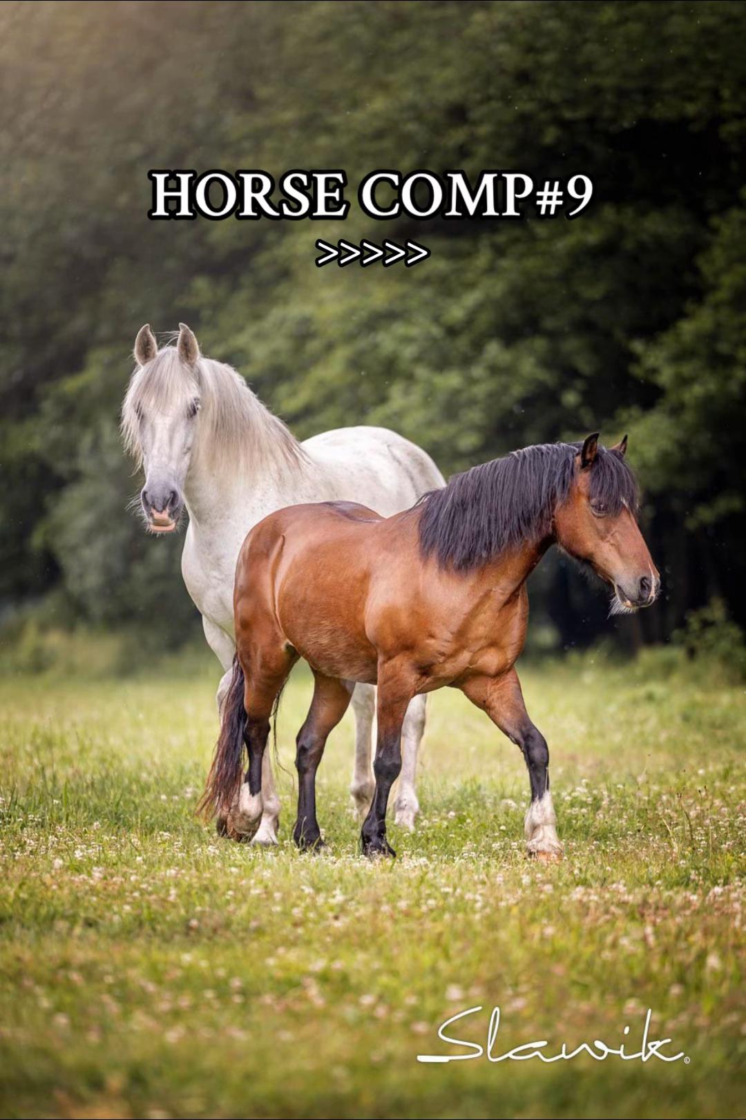 @equestrian._comps