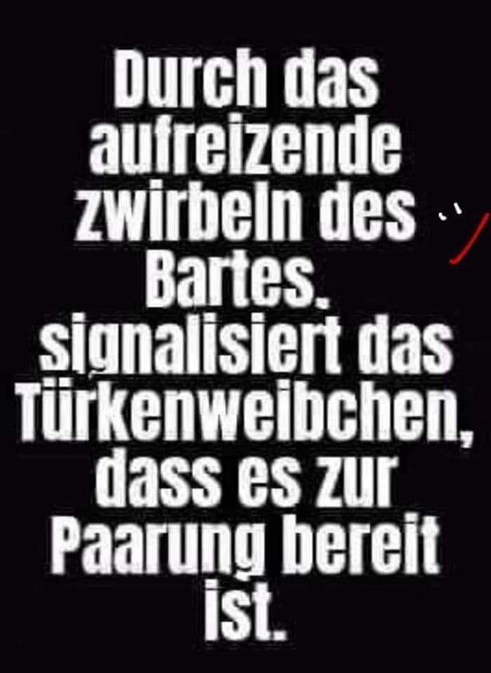 @Rumpi