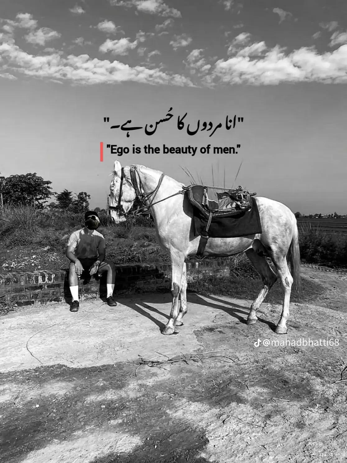 @Ahmad Raza