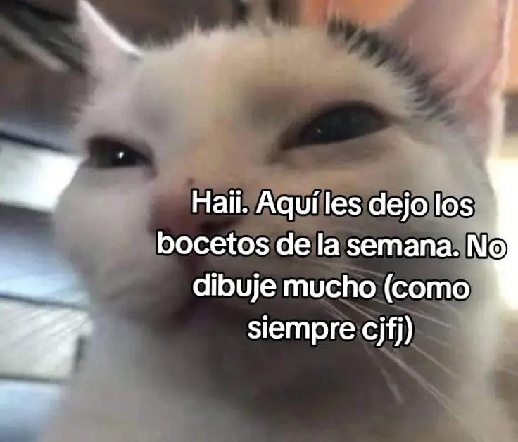 @confetii