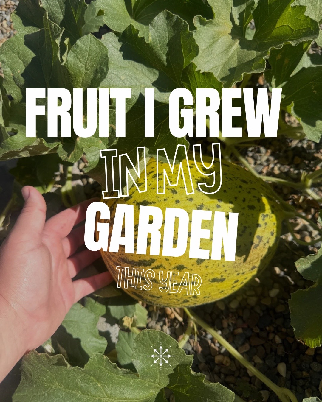 @curlycultivators