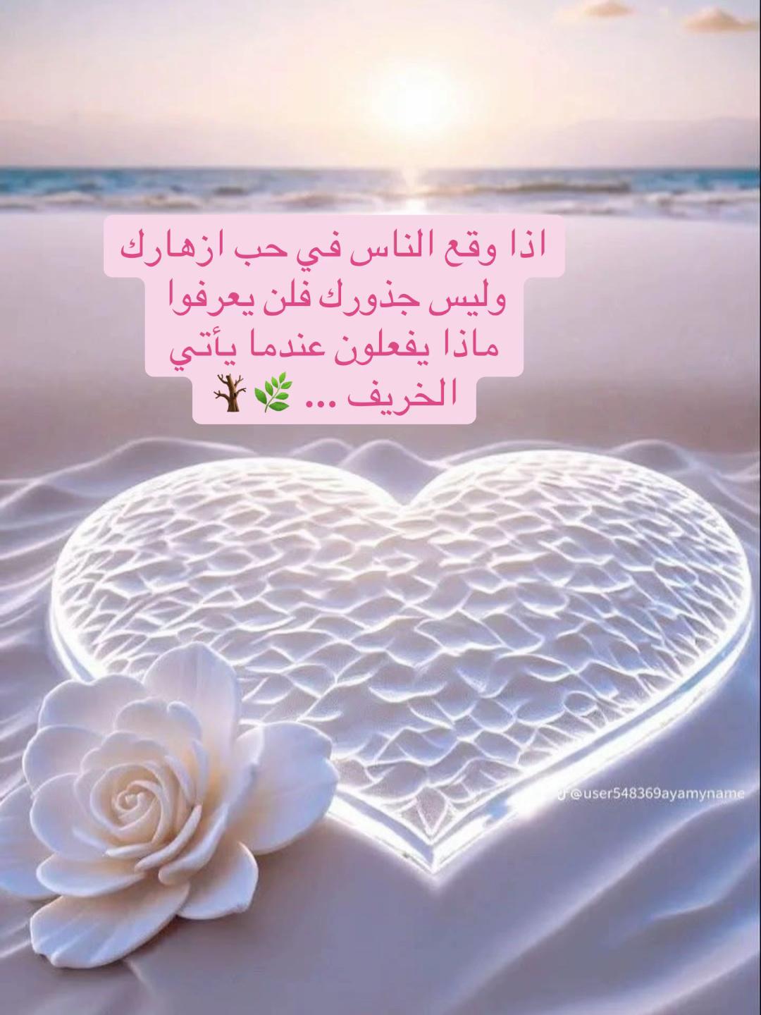 @So🦋so