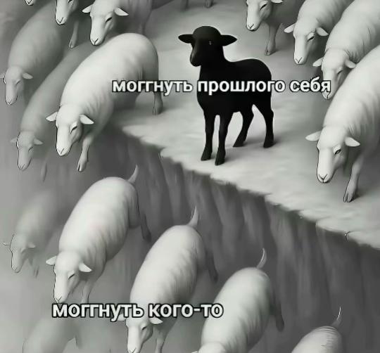 @блонди#AMFT