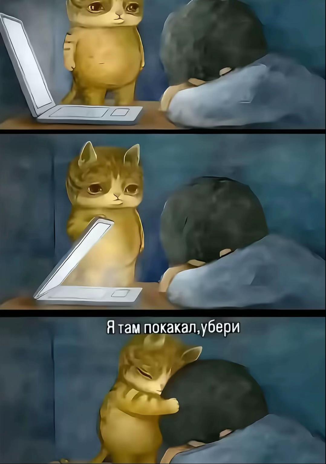 @𝑎𝑙𝑖𝑛𝑖𝑦𝑎𝑎🪽