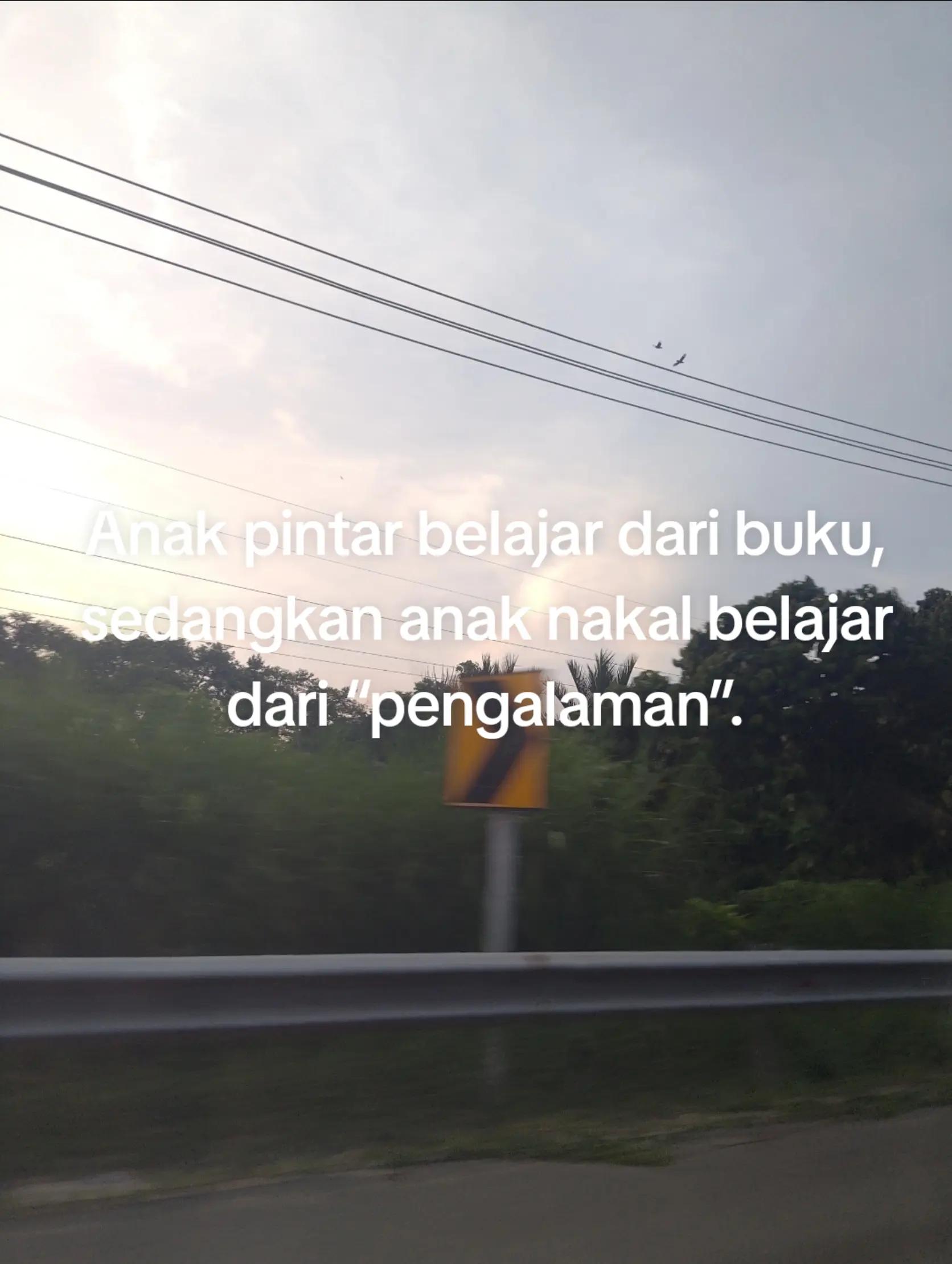 @dyman⚡