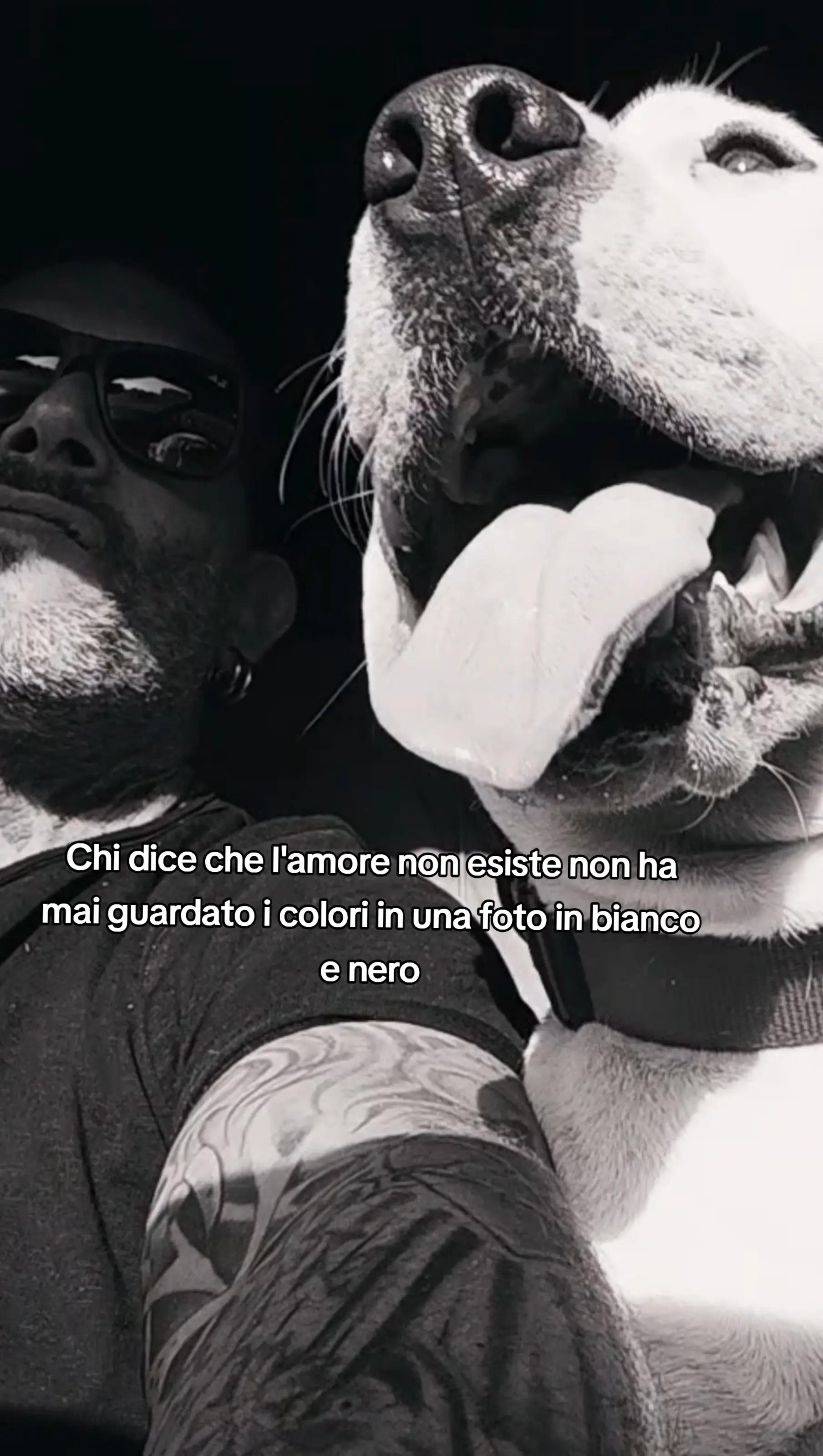 @Viggiano Giuseppe