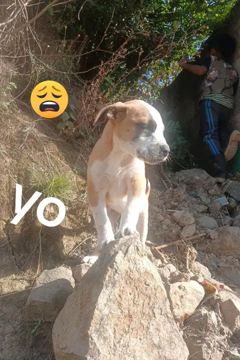 @mary