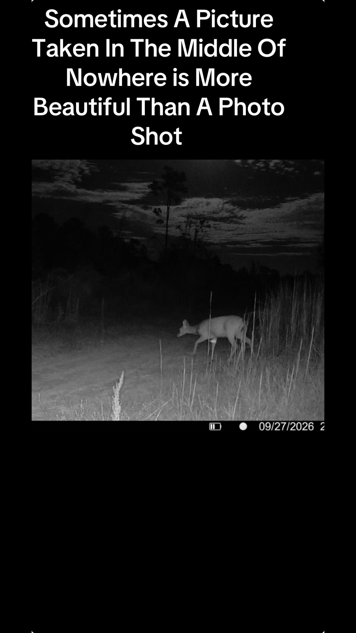 @devotedsportsmen23