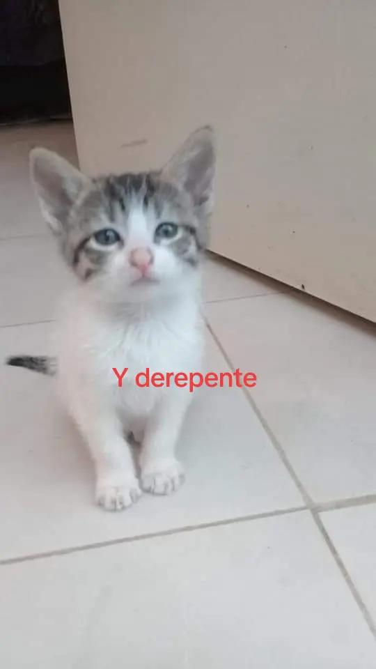 @Valentina roblos
