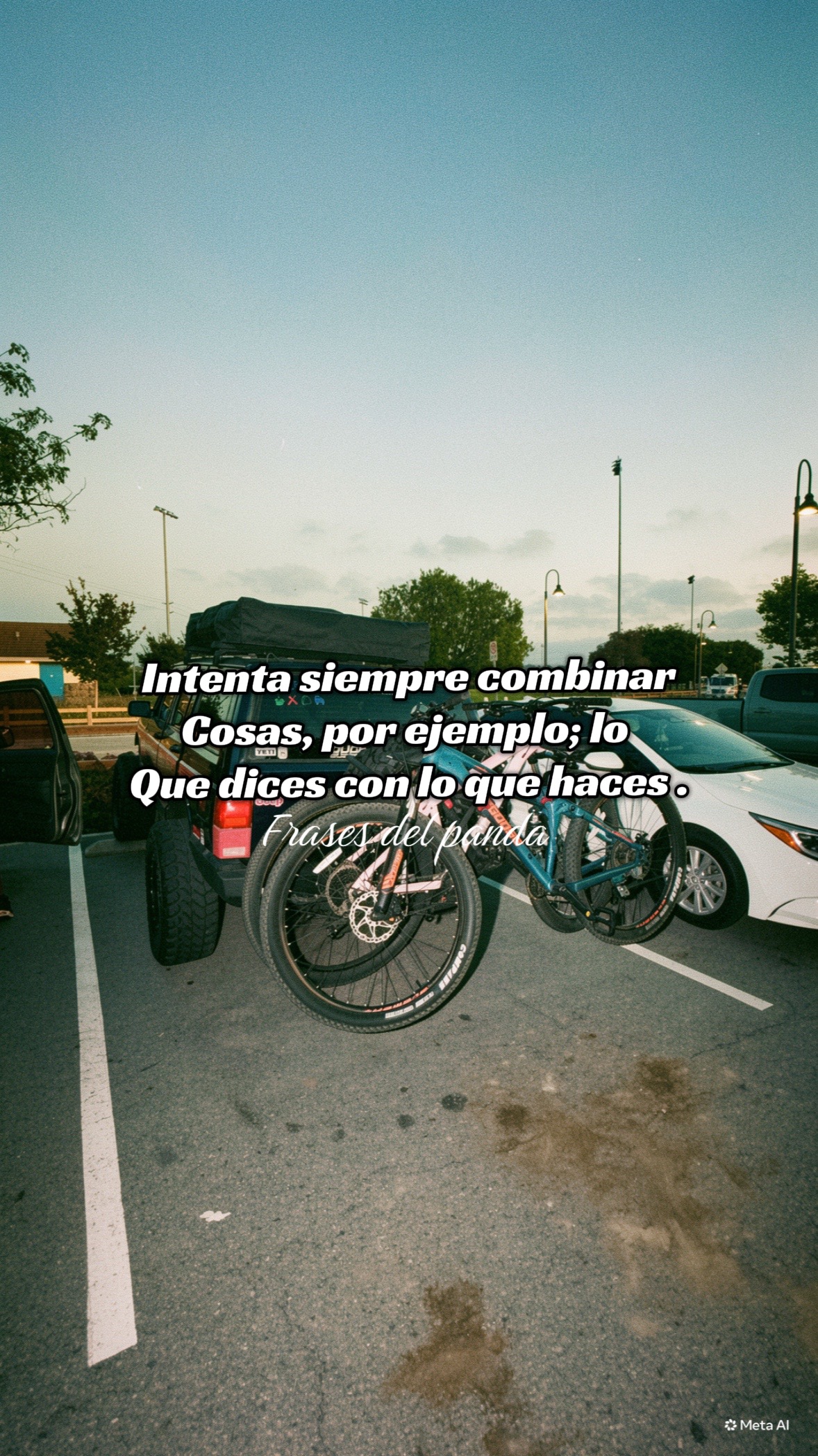 @frases del panda 🥷🏽