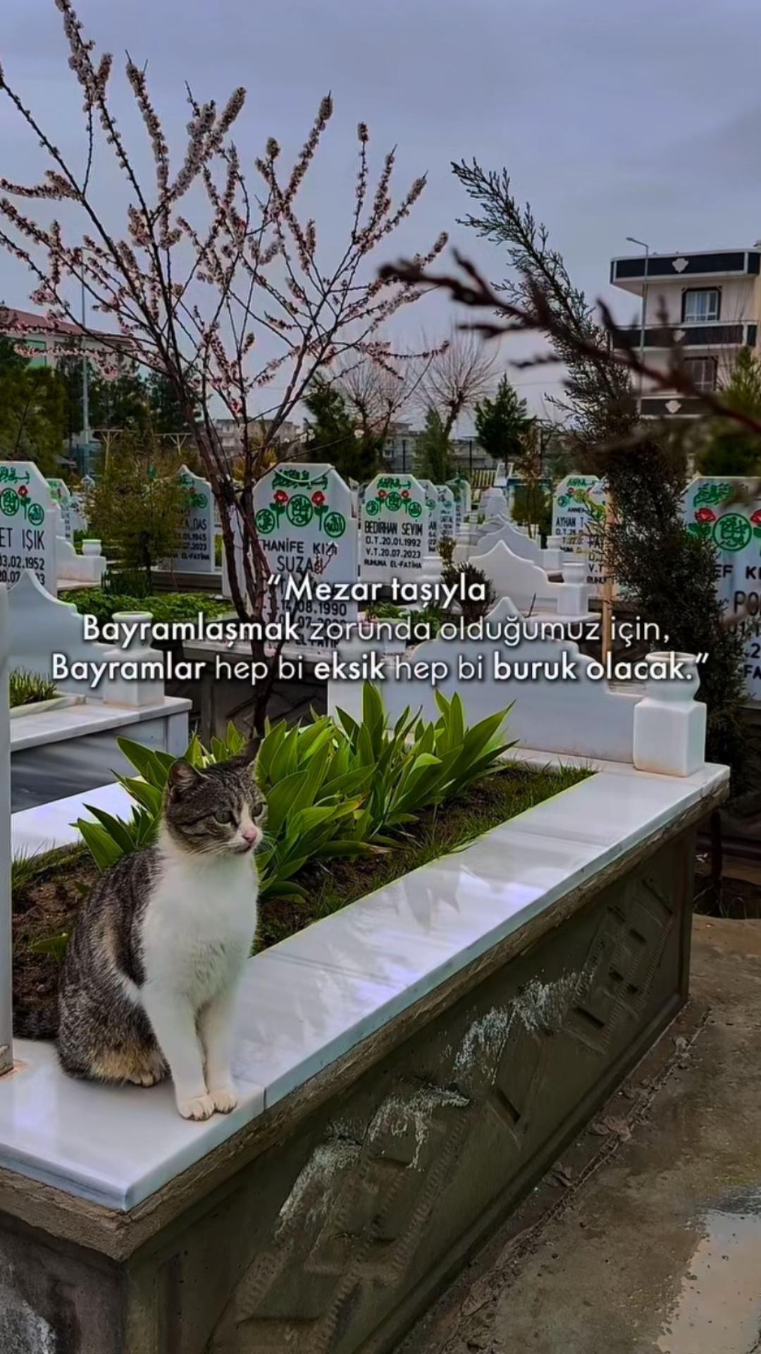@Hayaldik_ikimiz