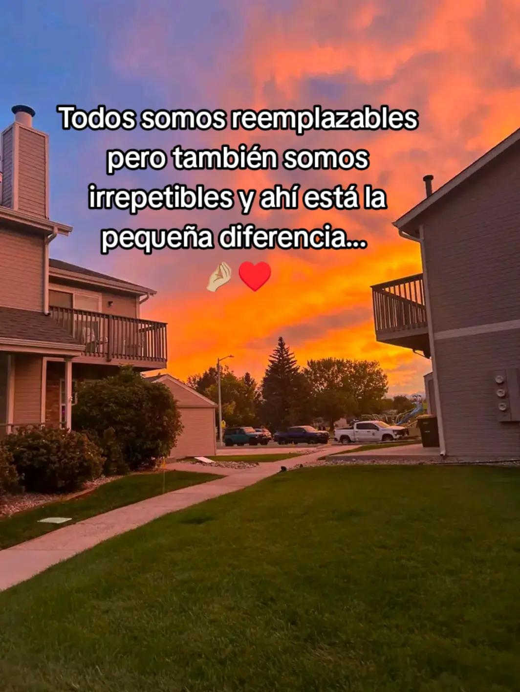 @✨️🌸Luz🌸✨️